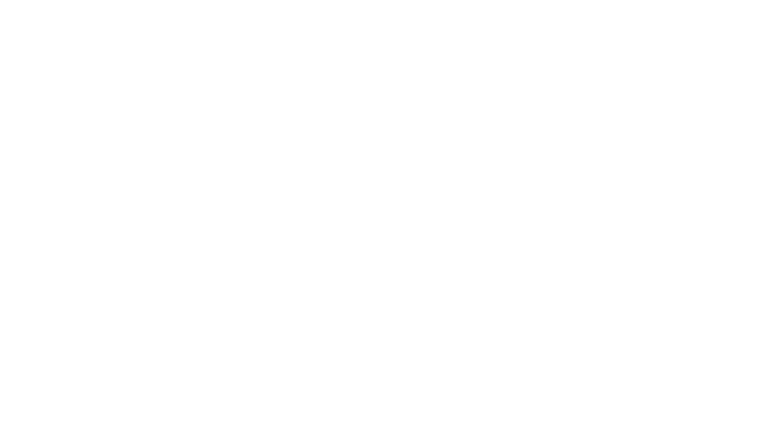 Connected Vet Academy